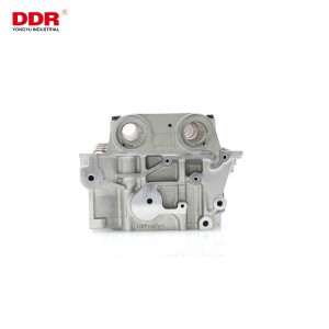 WEWLAT Aluminum cylinder head WE01-10-100K